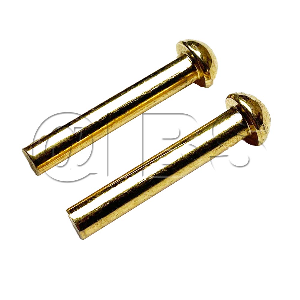 58211MON Hingepins-Gold Doors