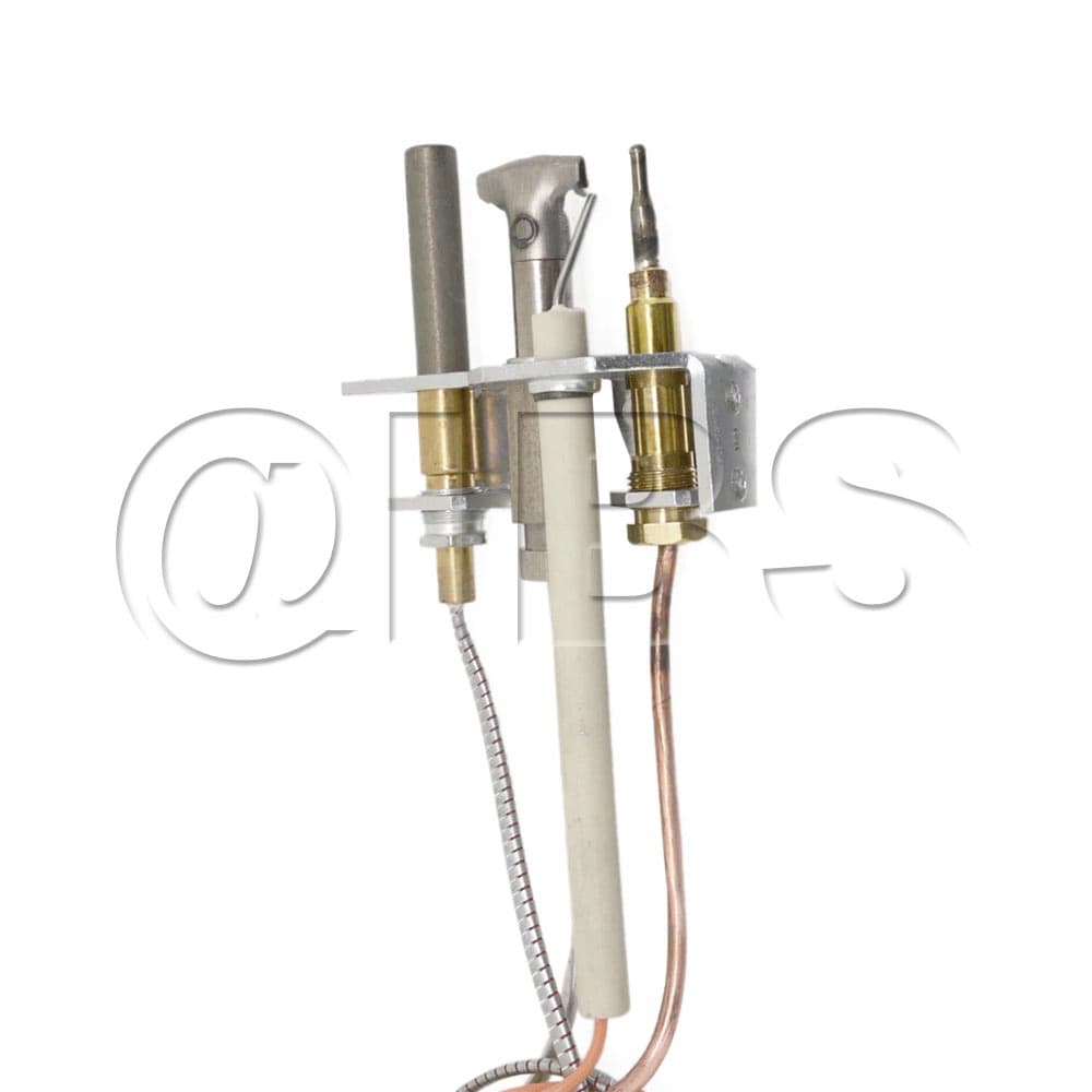 SRV25174 Pilot Assy Ng R-Shaw
