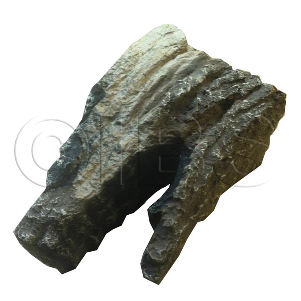 10008344 Log Front Left Bd16