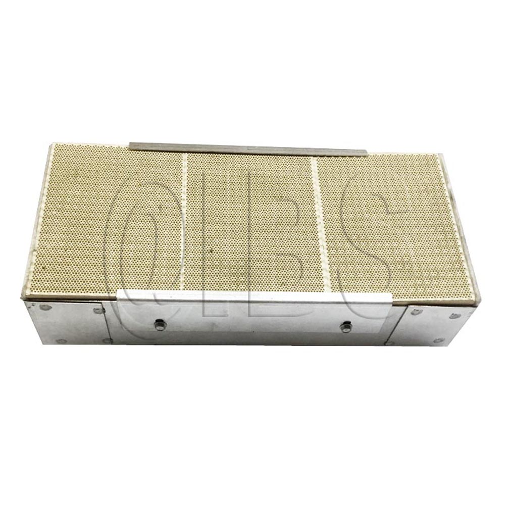 20004066 Burner Hsg Assembly