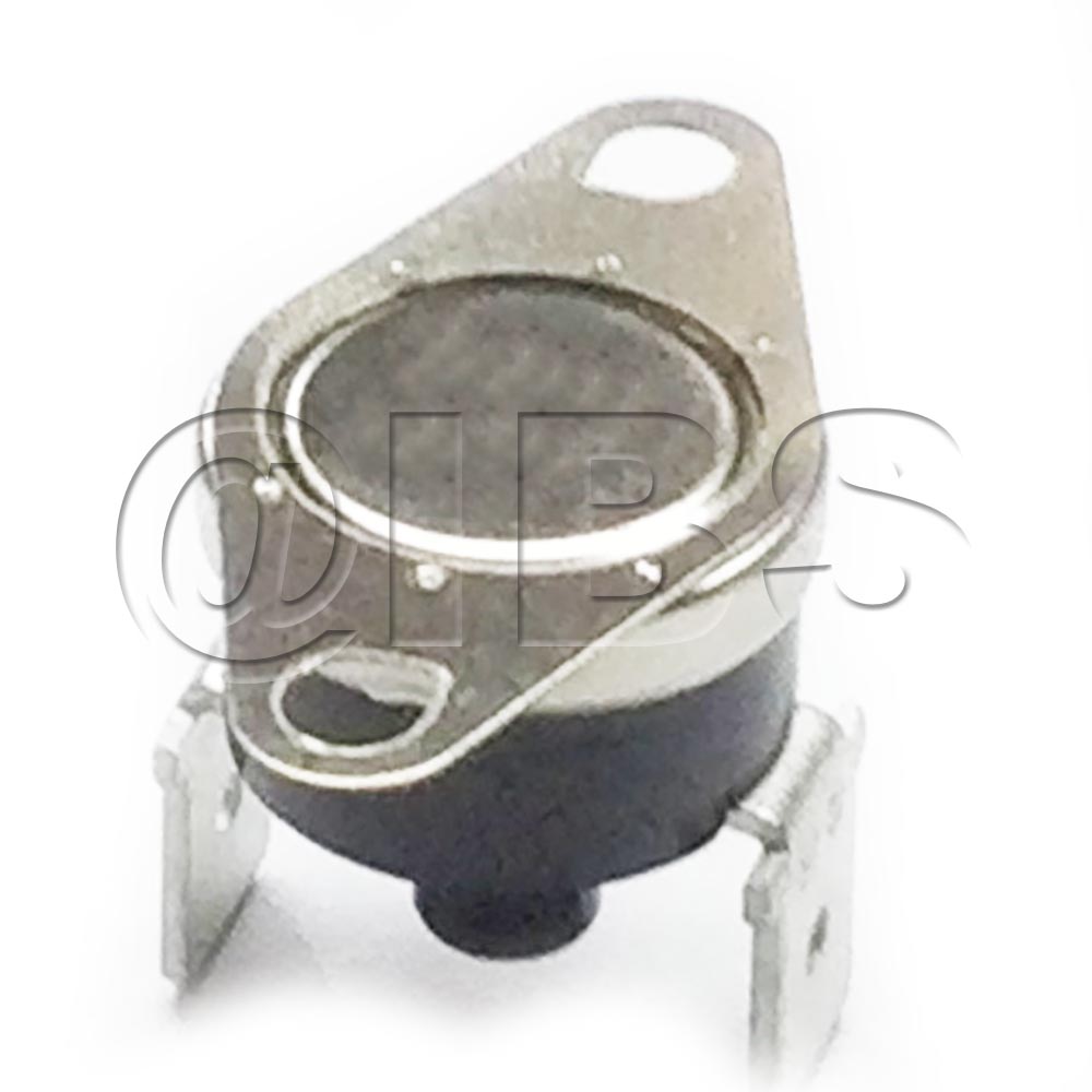 24672 High Limit Switch
