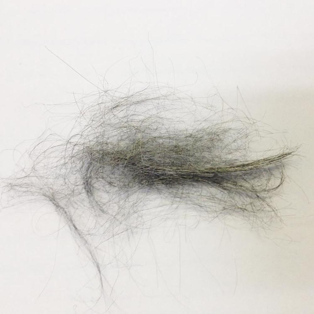 81D2012 Assembly Worgas Embers Fbe .1G