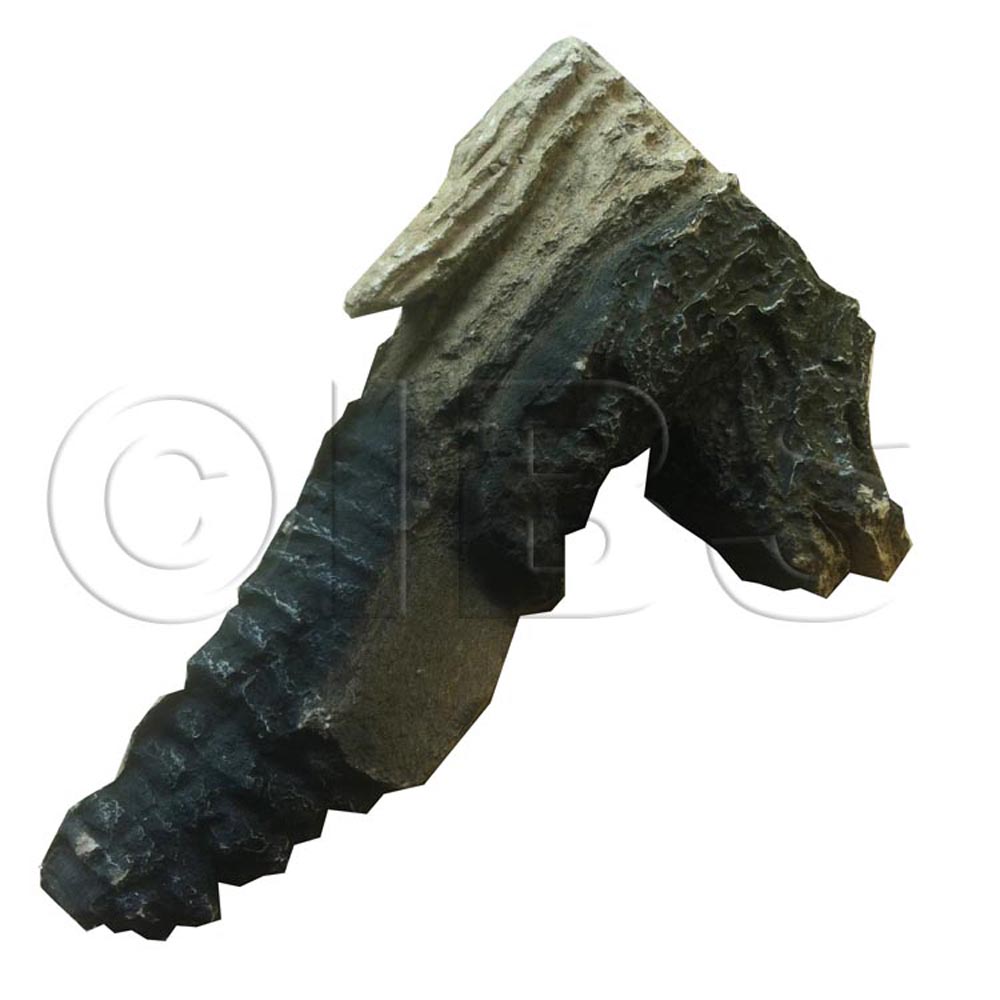 10007540 Log E9 Front Left